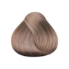 Cadiveu Professional Coloração Idea Color 9.89 Louro Muito Claro Perola 60G